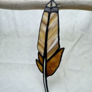 Hawk Feather, Skyward Stripes