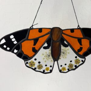 Painted Lady Butterfly